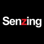 Senzing, Inc.