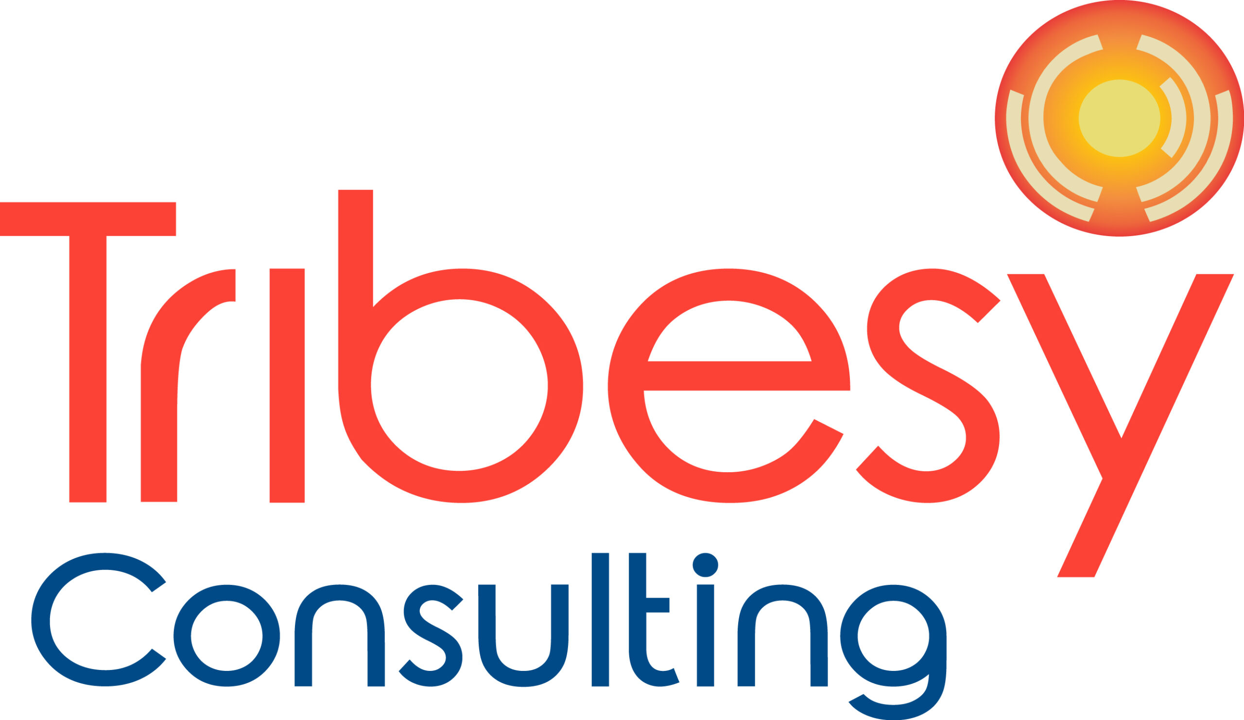 Tribesy Consulting